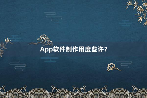 App软件制作用度些许？