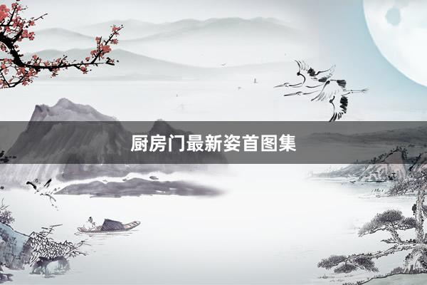 厨房门最新姿首图集